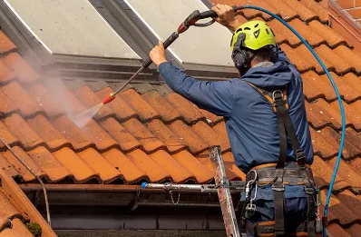 Démoussage et hydrofuge de toiture à Coussegrey